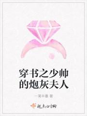 穿书少帅我们不约 穿书少帅我们不约