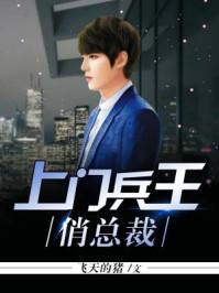 上门兵王俏总裁叶北 上门兵王俏总裁叶北