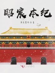 昭宸本纪TXT 昭宸本纪TXT