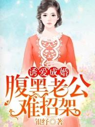 诱爱成婚腹黑老公难招架免费听书 诱爱成婚腹黑老公难招架免费听书