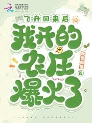 飞升后我又穿越回来了 飞升后我又穿越回来了