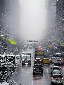 马特·贝内特 马特·贝内特