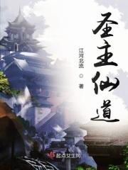 遮天圣主是什么境界