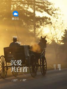 职路风云 职路风云