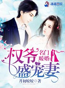 名门暖婚之权爷追妻攻略 名门暖婚之权爷追妻攻略