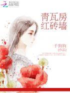 青瓦房红砖墙 青瓦房红砖墙