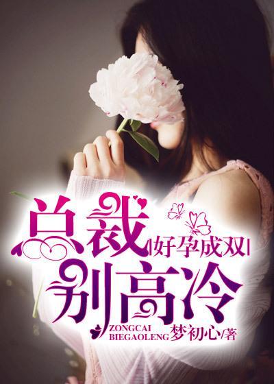 好孕成双:总裁别高冷 好孕成双:总裁别高冷