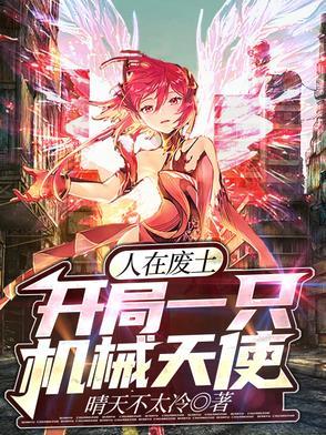 人在废土,开局一只机械天使 人在废土,开局一只机械天使