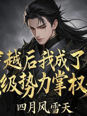 穿越后我成了顶级势力掌权人 穿越后我成了顶级势力掌权人