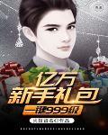 亿万新手礼包一键999级 亿万新手礼包一键999级