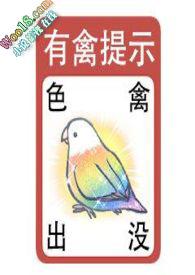 黑天鹅诱捕法则小说全文免费完结版 黑天鹅诱捕法则小说全文免费完结版