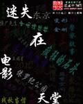 迷失在电影天堂 迷失在电影天堂