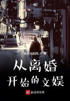 从离婚开始的文娱 从离婚开始的文娱