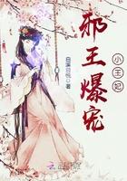 邪王爆宠小王妃 邪王爆宠小王妃
