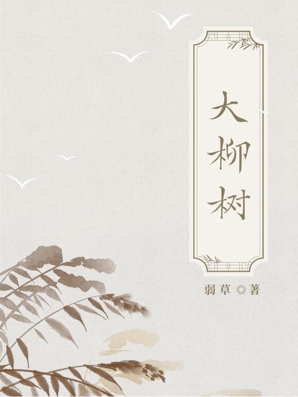 大柳树 大柳树