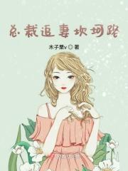 总裁追妻坎坷路 总裁追妻坎坷路
