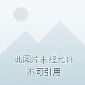 在半岛开休闲咖啡店赚钱