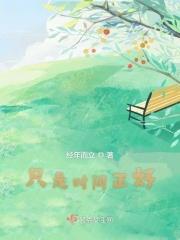 只是时光间距依然执着是什么歌