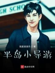 导游的岛
