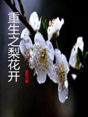重生之梨花雪txt百度