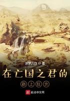 大明之我是五好太子