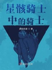 星骸骑士资料