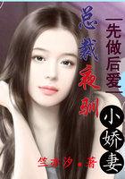 先做后爱总裁夜驯小娇妻最新章节