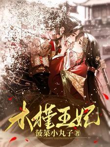 穿越之倾世小王妃简介