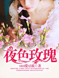 夜玫瑰怎么样