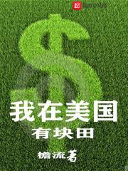 我在美国打工